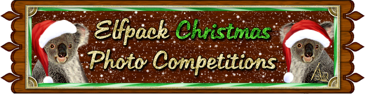 <img:http://www.elfpack.com/stuff/ElfpackChristmasPhotoCompetitionBanner.png>