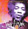Have_you_ever_been_to_electric_ladyland?_