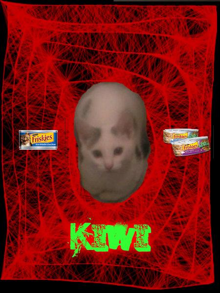 KiwiWE