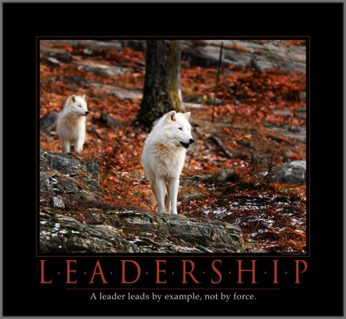 <img500*461:stuff/Leadership.jpg>