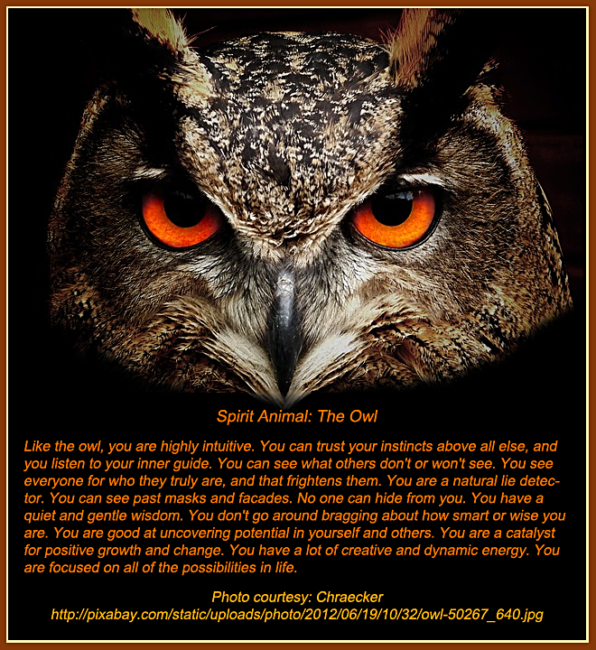<img:http://www.elfpack.com/stuff/aj/14637/SpiritAnimal-Owl2014-07-07.png>