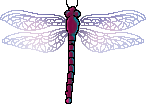 <img:stuff/aj/2605/dragonfly2.png>
