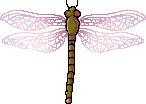 <img:stuff/aj/2605/dragonfly4.png>
