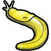 <img:stuff/bananaslug.gif>