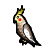 <img:stuff/cockatielbird.gif>