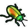 <img:stuff/iridescentbeetle.gif>