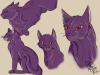 kittens_colored