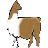 <img:stuff/llama100x100.gif>