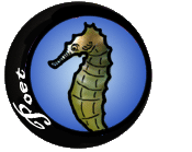 <img:stuff/seahorse.gif>